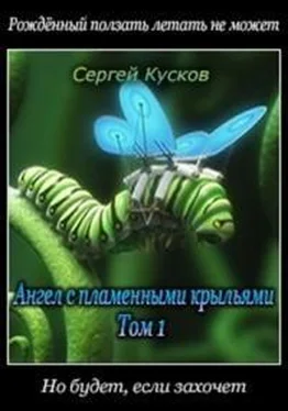 Сергей Кусков Ангел с пламенными крыльями-1 обложка книги