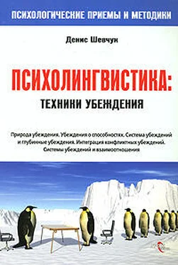 Денис Шевчук НЛП. Психолингвистика. Техники убеждения обложка книги