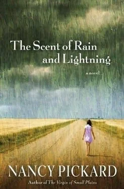 Nancy Pickard The Scent of Rain and Lightning обложка книги