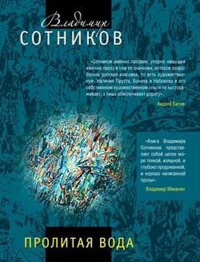 Владимир Сотников Пролитая вода обложка книги