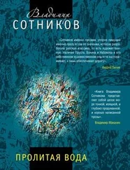 Владимир Сотников - Пролитая вода