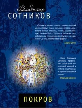 Владимир Сотников Покров обложка книги