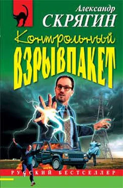 Александр Скрягин Контрольный взрывпакет, или Не сердите электрика! обложка книги