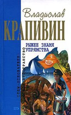 Владислав Крапивин Рыжее знамя упрямства обложка книги