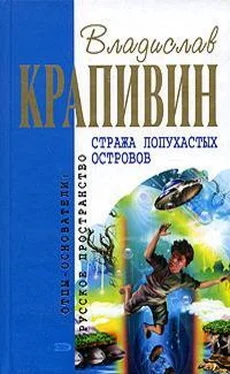 Владислав Крапивин Стража Лопухастых островов обложка книги