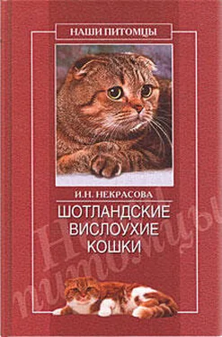 Ирина Некрасова Шотландские вислоухие кошки обложка книги