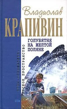 Владислав Крапивин Голубятня на желтой поляне обложка книги