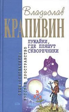 Владислав Крапивин Лужайки, где пляшут скворечники обложка книги