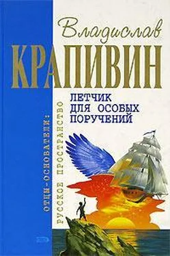 Владислав Крапивин Летчик для особых поручений обложка книги