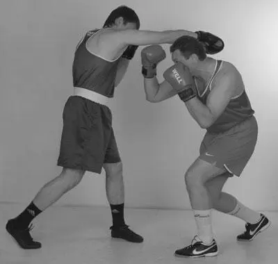 Фото 145 Фото 146 Фото 147 - фото 145