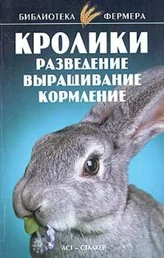 С. Александров Кролики: Разведение, выращивание, кормление обложка книги