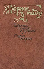 Жоржи Амаду - Габриэла, корица и гвоздика