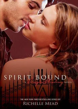 Richelle Mead Spirit Bound обложка книги