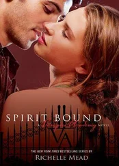 Richelle Mead - Spirit Bound
