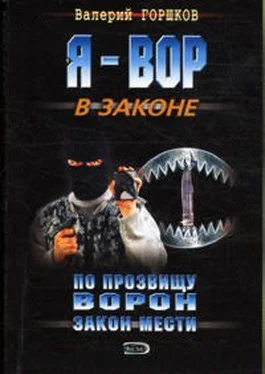 Валерий Горшков Закон мести обложка книги