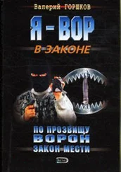 Валерий Горшков - Закон мести