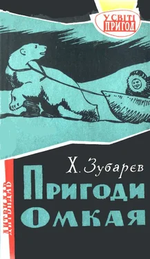 Фома Зубарев Пригоди Омкая обложка книги
