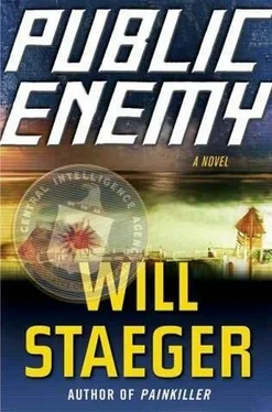 Will Staeger Public Enemy обложка книги