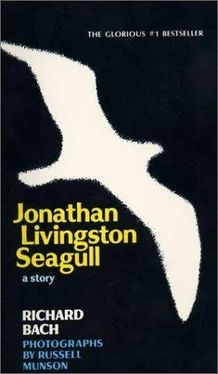 Richard Bach Jonathan Livingston Seagull обложка книги