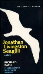 Richard Bach - Jonathan Livingston Seagull