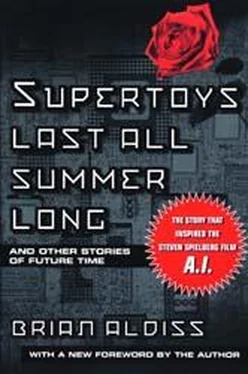 Brian Aldiss Super-Toys Last All Summer Long обложка книги