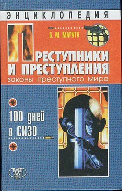 Валерий Маруга Преступники и преступления. Законы преступного мира. 100 дней в СИЗО обложка книги