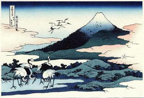 Fuji across lava fields and wisps of fog drifting clouds birds on the wing - фото 16