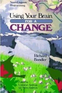 Richard Bandler Using Your Brain —for a CHANGE обложка книги