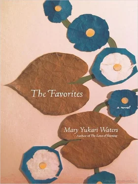 Mary Waters The Favorites обложка книги