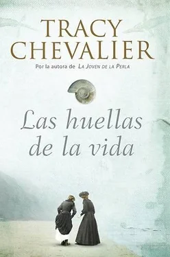 Tracy Chevalier Las huellas de la vida