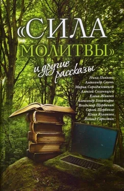 Нина Павлова Сила молитвы и другие рассказы обложка книги