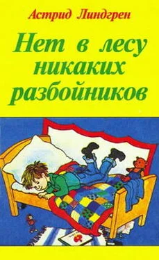 Астрид Линдгрен Спокойной ночи, господин бродяга! обложка книги