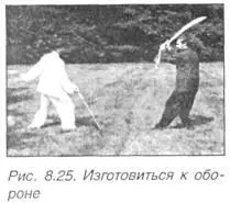 Двигайтесь как дракон и Феникс Мастера боевых единоборств прекрасно знают - фото 558