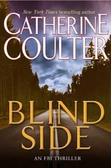 Catherine Coulter - Blindside