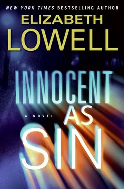 Elizabeth Lowell Innocent as Sin обложка книги