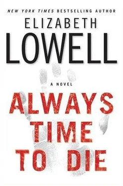 Elizabeth Lowell Always Time To Die обложка книги