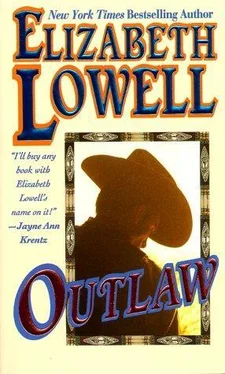 Elizabeth Lowell Outlaw обложка книги