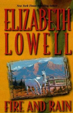 Elizabeth Lowell Fire and Rain обложка книги