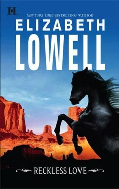 Elizabeth Lowell Reckless Love обложка книги