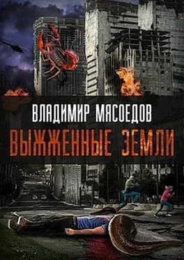 Владимир Мясоедов Выжженые земли (СИ) обложка книги