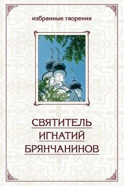 Святитель Игнатий Брянчанинов Избранные творения в двух томах. Том 2 обложка книги