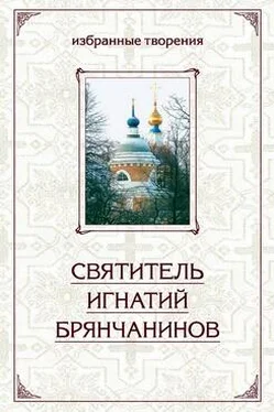 Святитель Игнатий Брянчанинов Избранные творения в двух томах. Том 1 обложка книги