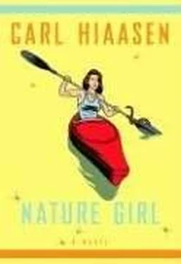 Carl Hiaasen Nature Girl обложка книги