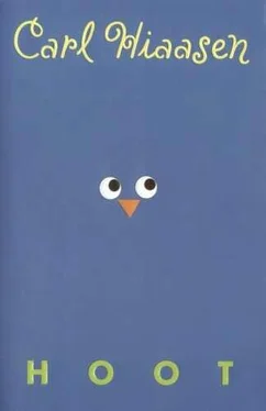 Carl Hiaasen Hoot обложка книги