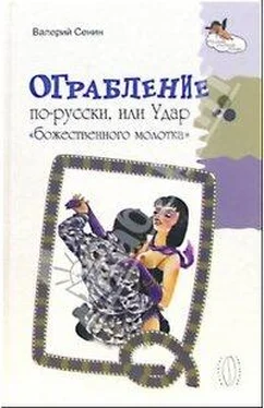 Валерий Сенин Ограбление по-русски, или Удар « божественного молотка» обложка книги