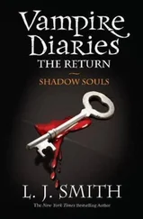 Лиза Смит - Возвращение - Тень души