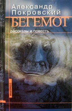 Александр Покровский Бегемот (сборник) обложка книги