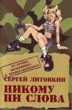 Сергей Литовкин Никому ни слова обложка книги