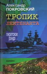 Александр Покровский - Тропик лейтенанта. Пиратское рондо