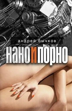 Андрей Бычков Нано и порно обложка книги